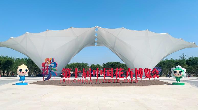 й սͨ | Ƿʼ·Ƿʼͨ˾ʮйչ